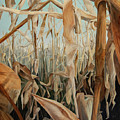 Field