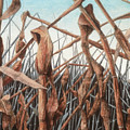 Population Stress
