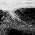 Stream of Life